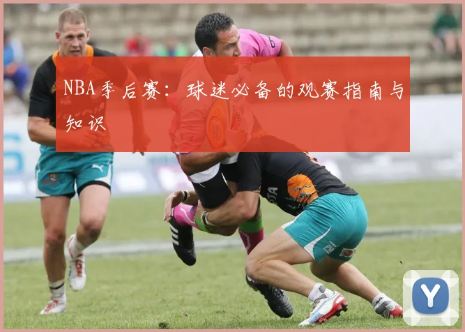 NBA季后赛：球迷必备的观赛指南与知识
