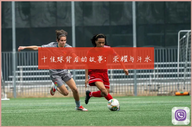 十佳球背后的故事:荣耀与汗水