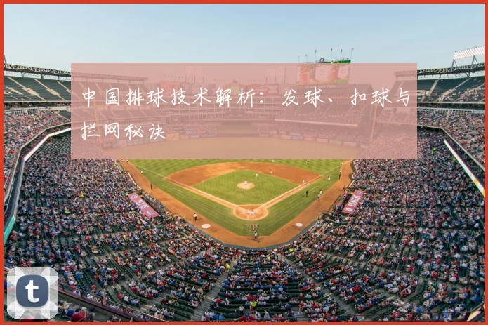 中国排球技术解析：发球、扣球与拦网秘诀
